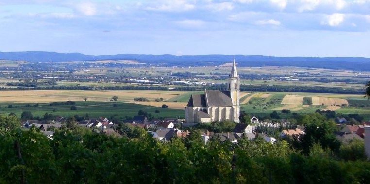 Panorama von Kleinhöflein mit Kirche, Weingärten und dem Leithagebirge