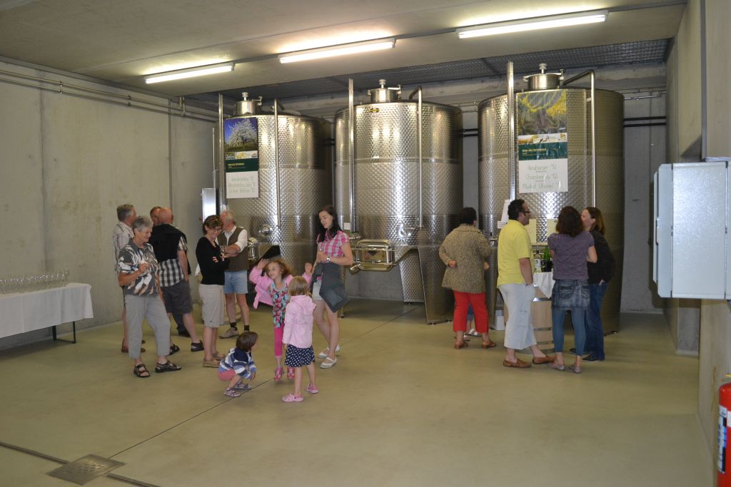 Edelstahltanks im Weinkeller von Weinbau Schweifer